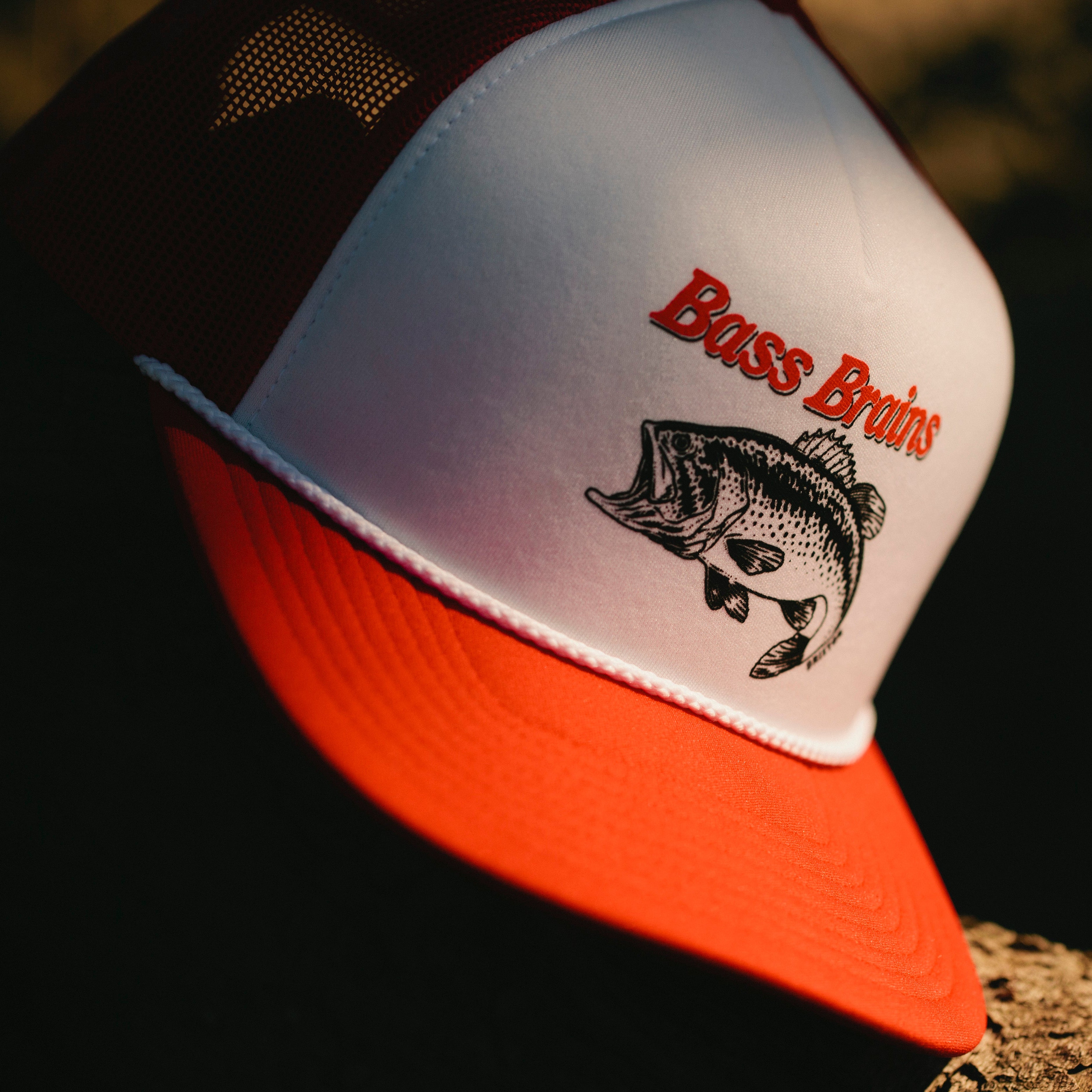 Brixton - Snap Back -  Bass Brains