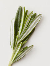 EVO - Conditionneur - Le Thérapeute